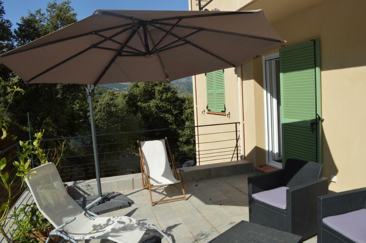 La Villa Volpaso Belgodère Екстериор снимка