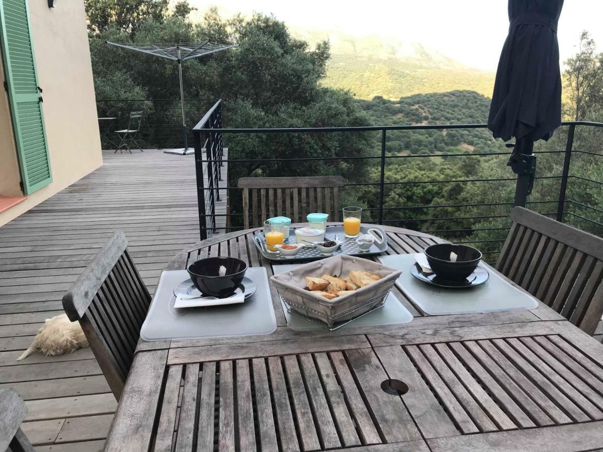 La Villa Volpaso Belgodère Екстериор снимка
